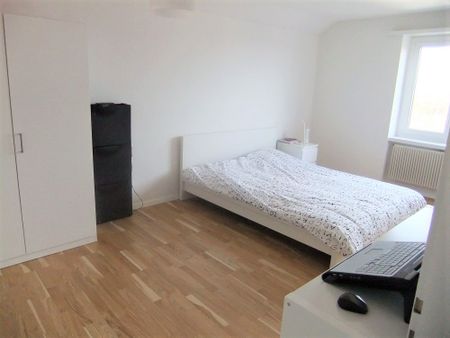 Grosse Dachwohnung mit neuer Küche und Bad - Foto 5