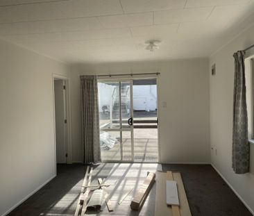 Newly Renovated 2 Bedroom Stand Alone House - Photo 5