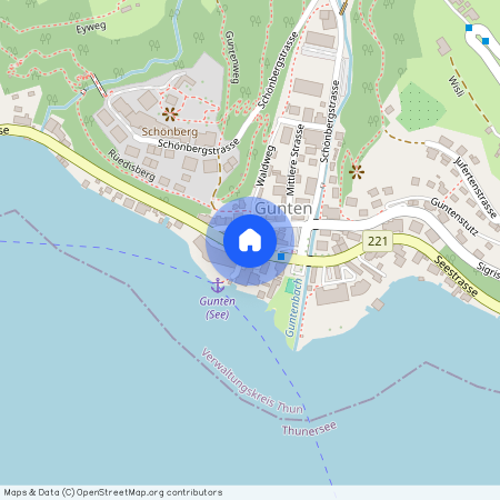 3656 Aeschlen ob Gunten