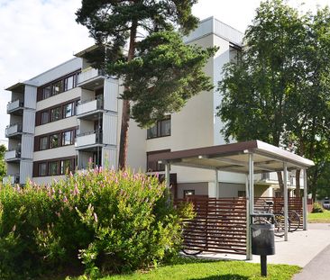 Pinnmovägen 24, våning 1 - Foto 4