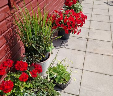 Mejerigränd, Vallberga - Photo 4