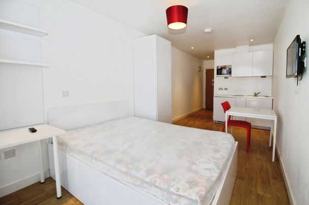 1 bedroom studio apartment to rent - Photo 1