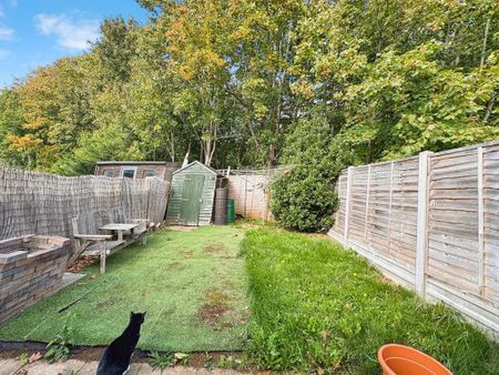 1 bedroom semi-detached house to rent - Photo 4