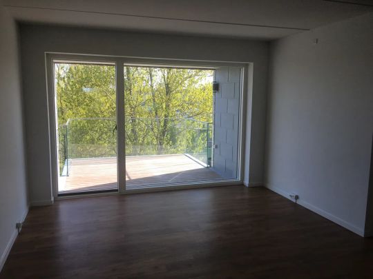 Moderne lejlighed med lys og altan i Aalborg - Photo 1