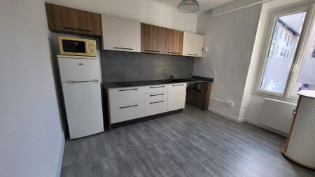 Location Appartement 1 pièce 31m² ANNECY 74000 - Photo 3