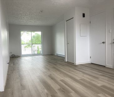 4 1/2 à Louer à ROUGEMONT - Photo 2