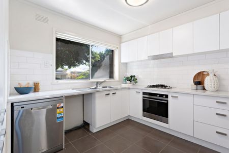 1/12 Pine Street, Hawthorn VIC 3122 - House For Rent | Domain - Photo 2