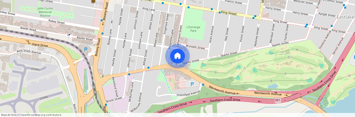 133 Sutherland Street, NSW 2020, Mascot