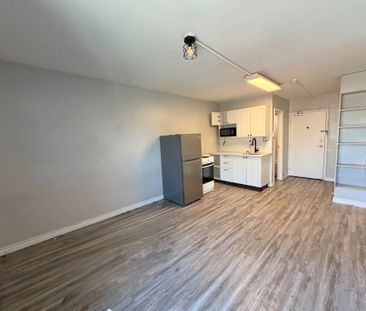 For Lease - 91 Thames Street Unit# 306, Ingersoll, Ontario - Photo 3