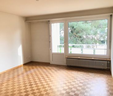 Charmante Wohnung an der Limmat zu vermieten! - Foto 1