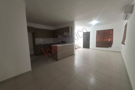 Nuevo León, lirio, Apodaca - Photo 3