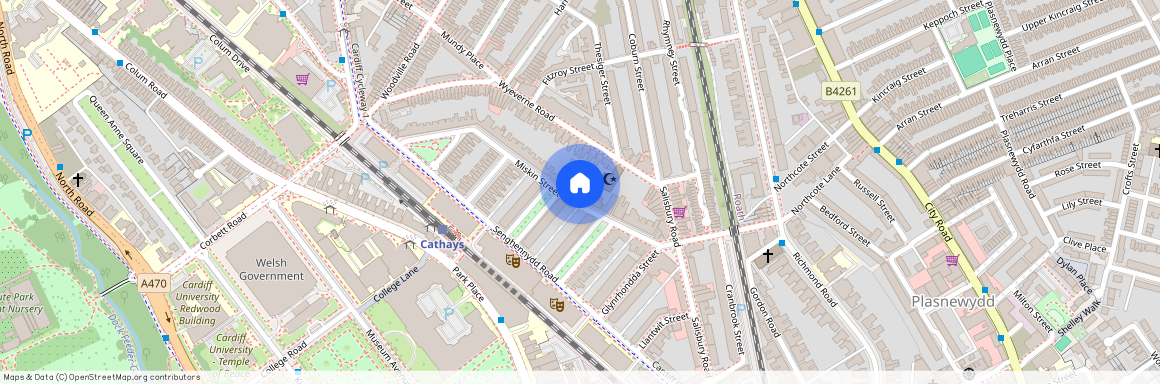Miskin Street, CF24 4AQ, Cathays
