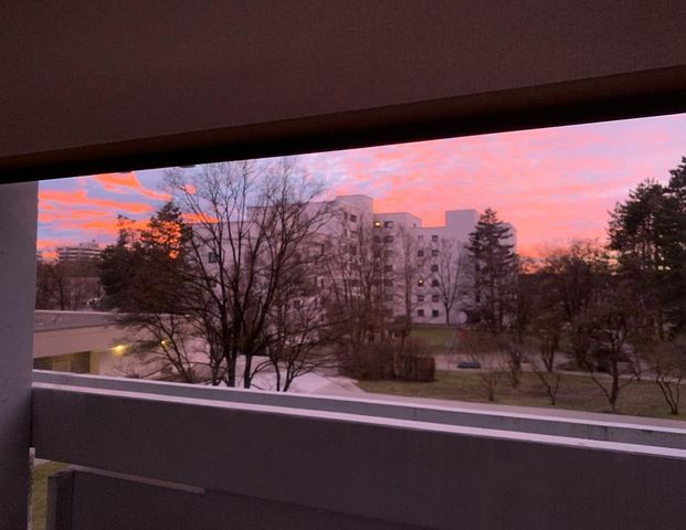 Apartment for Sublease: December – February - Photo 1