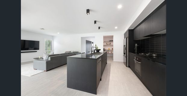 Immaculate, state-of-the-art contemporary stunner - Photo 1