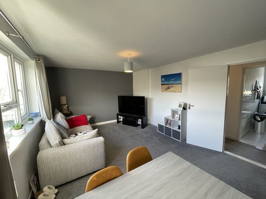 6 Shelburne Court - Photo 1