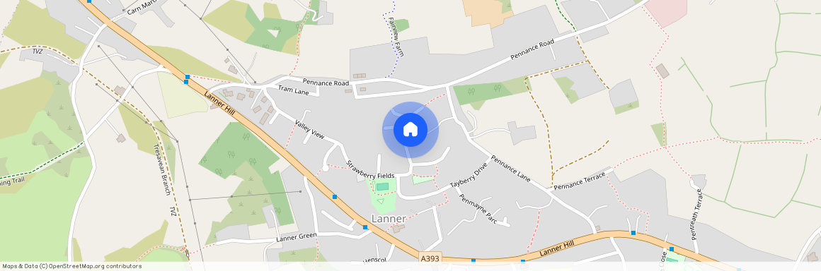 Pennance Parc, Lanner, TR16 5TY (2)