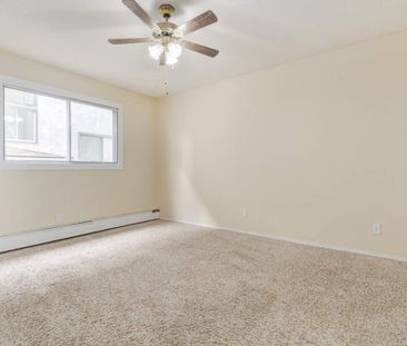 1 Bedroom - Photo 4
