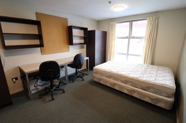 Studio Apartment in Te Aro - Photo 1