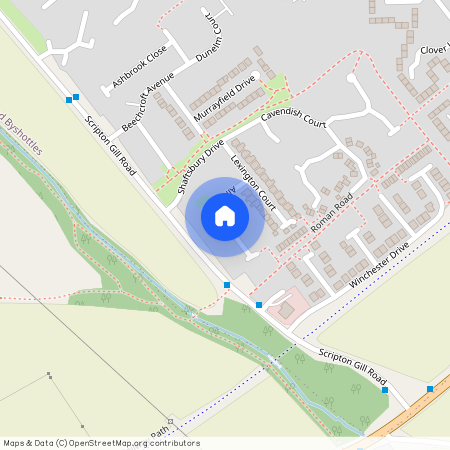 Alfreton Close, Brandon, Durham, DH7