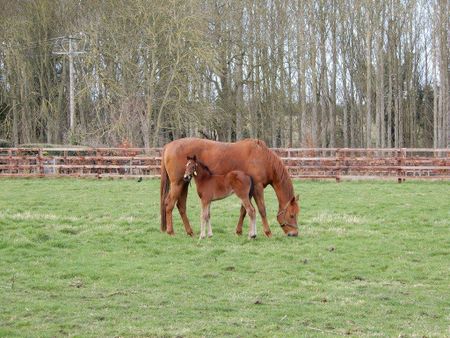 1 bedroom detached house to rent - Photo 2