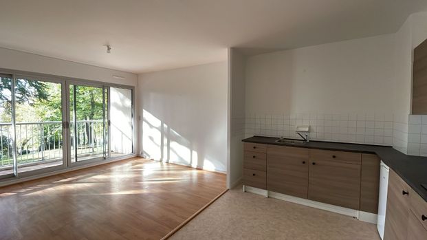 Location Appartement 1 pièce 58m² NANTES 44300 - Photo 1