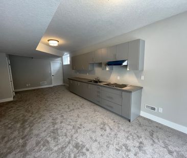 For Lease - 27 Hollybrook Trail Unit# Lower, Kitchener, Ontario - Photo 3