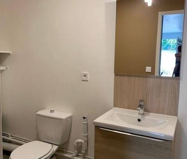 Location appartement rénové 1 pièce 26.36 m² à Vienne (38200) 6 - Photo 5