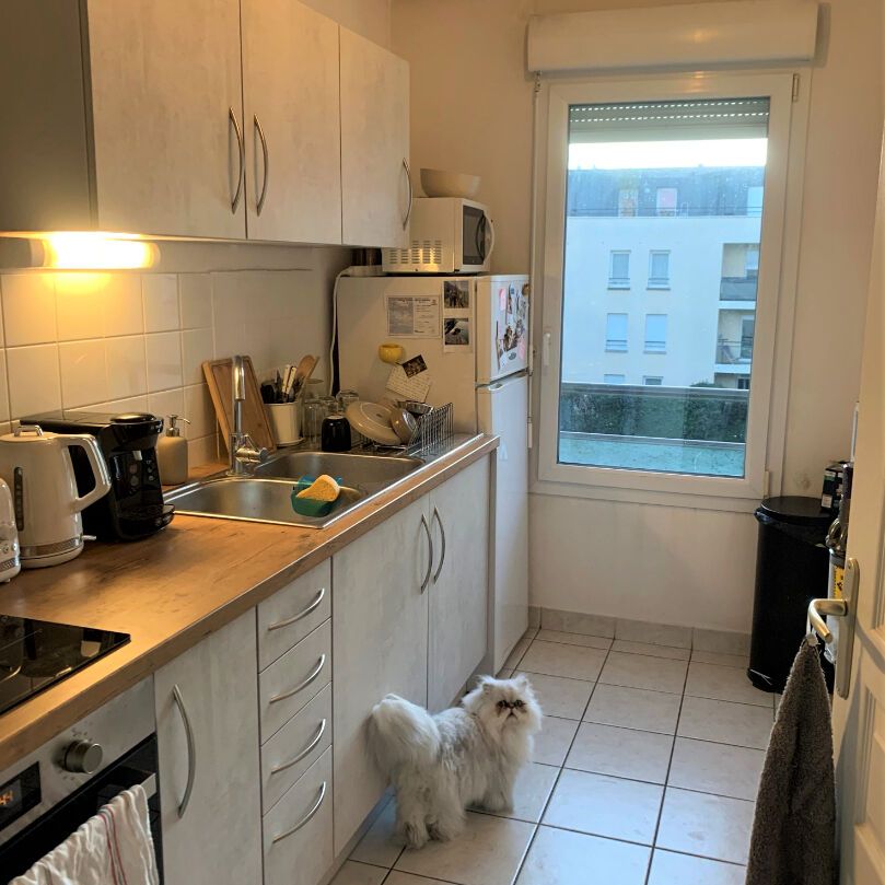 Location Appartement 2 pièces 47m² ROUEN 76100 - Photo 1