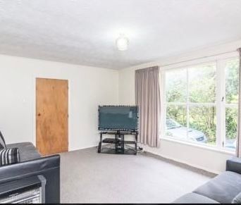 Charming Tawa 3BR Home w/ Garden! - Photo 4