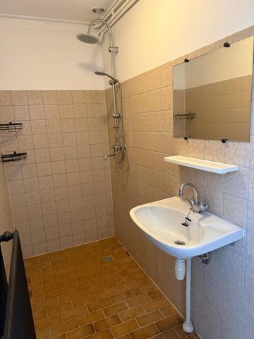 Biezenstraat - Photo 5