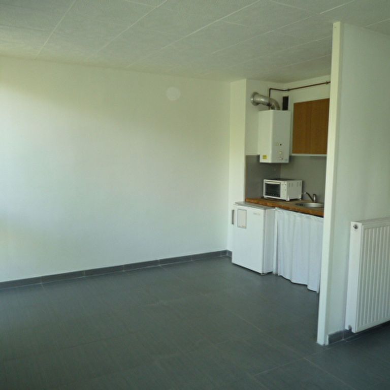 Appartement 1 pièces 29m2 MARSEILLE 8EME 550 euros - Photo 1