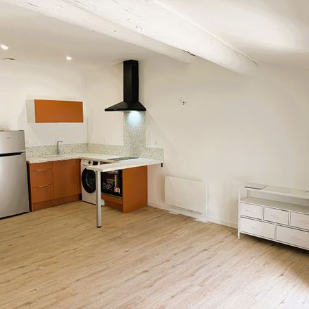Location Appartement 1 pièce 25m² - Photo 3