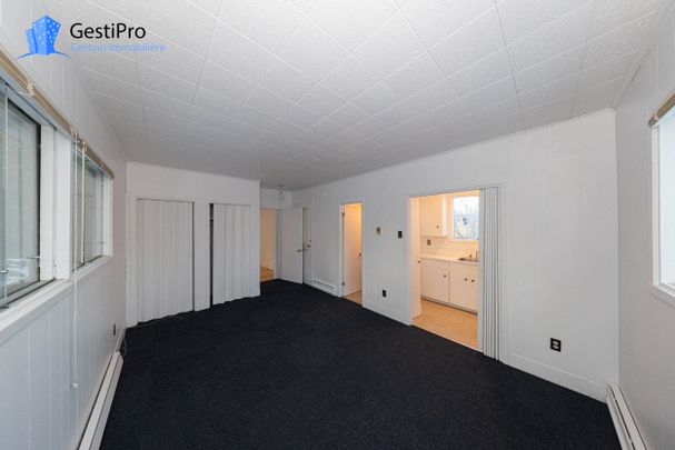 2841 Wilfrid-Légaré - Photo 1