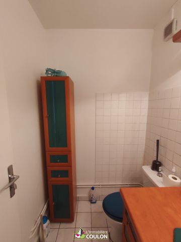 Appartement meublé - 1 pièce - Lafayette/Oradou - Photo 4