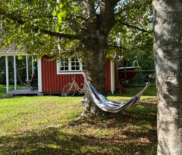 Stockrosvägen, Åsa - Foto 5