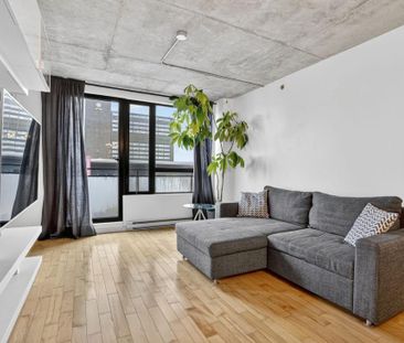 Appartement à louer - Montréal (Ville-Marie) (Centre) - Photo 4