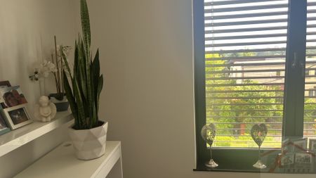 Do wynajęcja wom wolnostojący na Oś . Arkońskim (433804) - Zdjęcie 4