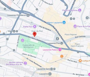 Splendide appartement de 2.5 pièces en duplex avec balcons - Photo 3