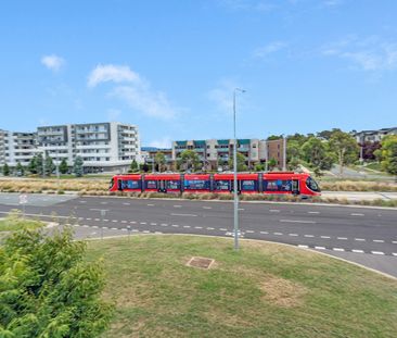 236 Flemington Road, Harrison ACT 2914 - Apartment For Rent | Domain - Photo 6