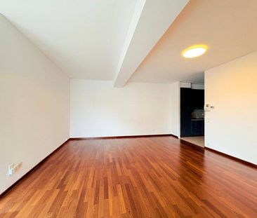 Appartamento in Affitto a Lugano - Photo 2