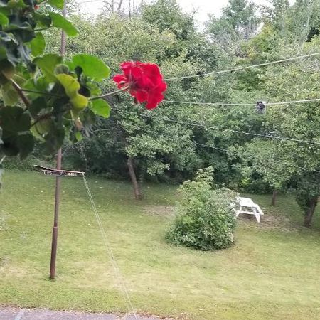 Perle Rare à Saint Lambert - Grand 3 1/2 Renové, entouré d'arbres et près du Village - Photo 3