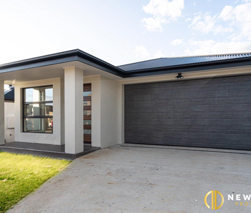 84 Barramundi Street, Throsby ACT 2914 - House For Rent | Domain - Photo 3