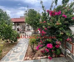 Μονοκατοικία για ενοικίαση - Ραφήνα, - Photo 6