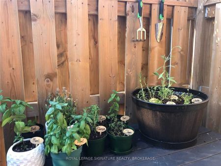 For Lease - 92 Mitchell Avenue Unit# Lower, Toronto, Ontario - Photo 5