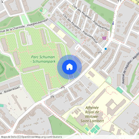 rue Théodore Decuyper 163, 1200 woluwe st lambert