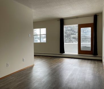 SPACIOUS 2 Bedroom APARTMENT!! GREAT LOCATION Downtown!!! - Photo 1