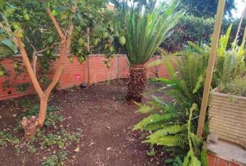 Monteverde Vecchio-Terrace: Furnished 2 Bedroom, 2 Bath, spacious kitchen, living, large private terrace and garden. Bright, silent, near shops, services and transport, located on a quite street in a well kept building. Possible parking. Ref 2375