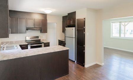 Stunning 3 Bedroom Home with Full Basement - Photo 5