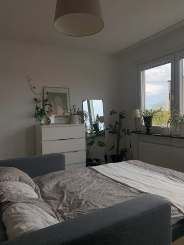 Viktor Rydbergsgatan, Uppsala - Photo 4