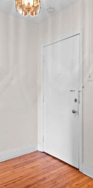 DUPUIS GRANDE 3.5 PROCHE DU L'UdeM, METRO HOPITAUX - Photo 1